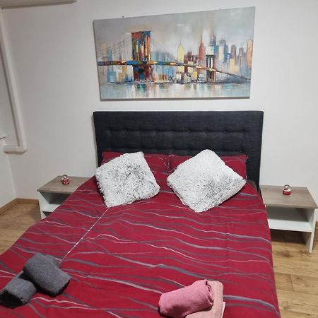 Studio Apartman Bojana 34M2,Free Wifi,Parking Sisak Exteriér fotografie