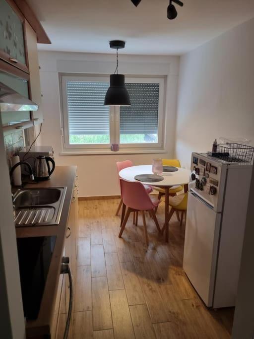 Studio Apartman Bojana 34M2,Free Wifi,Parking Sisak Exteriér fotografie