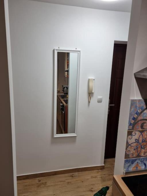 Studio Apartman Bojana 34M2,Free Wifi,Parking Sisak Exteriér fotografie