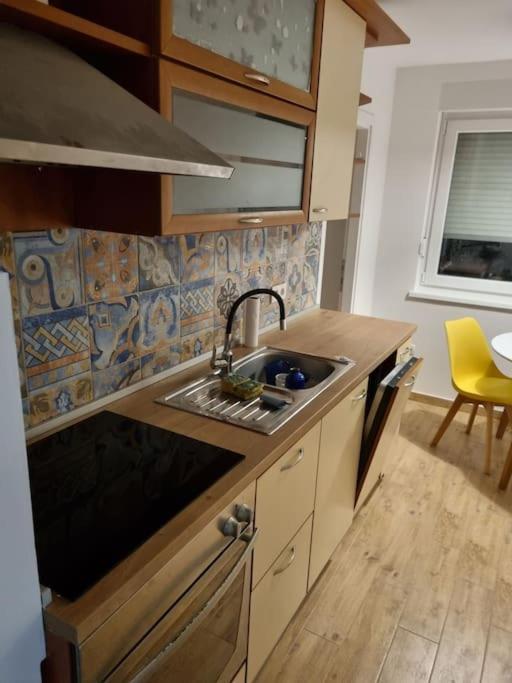 Studio Apartman Bojana 34M2,Free Wifi,Parking Sisak Exteriér fotografie