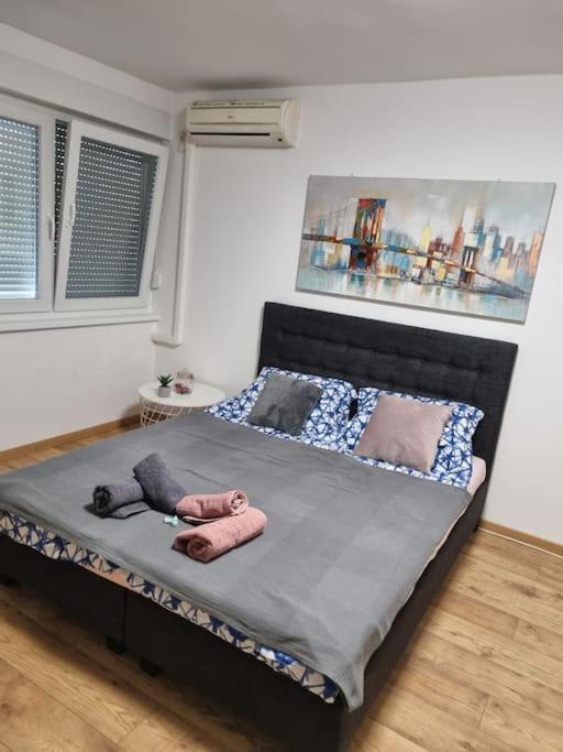 Studio Apartman Bojana 34M2,Free Wifi,Parking Sisak Exteriér fotografie