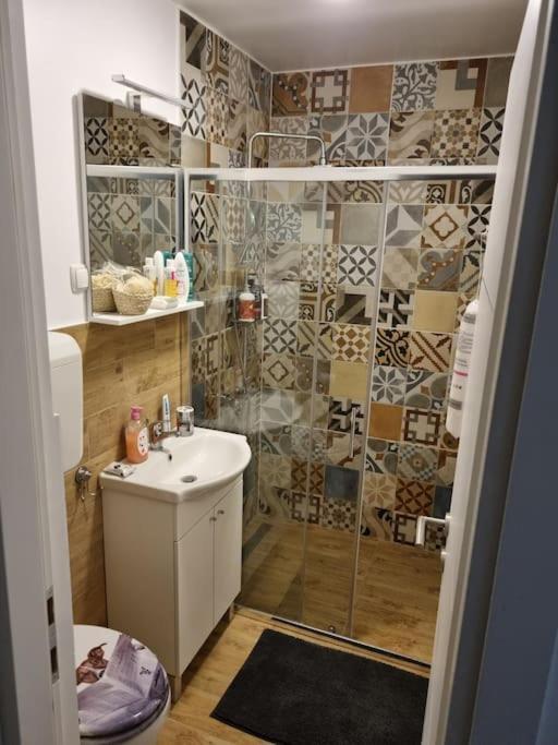 Studio Apartman Bojana 34M2,Free Wifi,Parking Sisak Exteriér fotografie