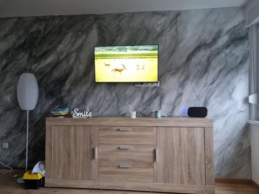 Studio Apartman Bojana 34M2,Free Wifi,Parking Sisak Exteriér fotografie